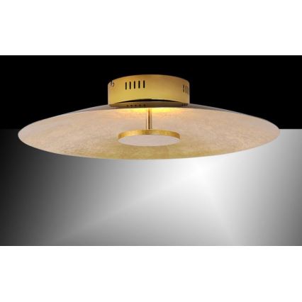 Paul Neuhaus 8132-12 - LED prigušiva plafonska svetiljka PLATE LED/25W/230V