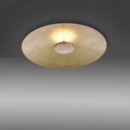 Paul Neuhaus 8132-12 - LED prigušiva plafonska svetiljka PLATE LED/25W/230V