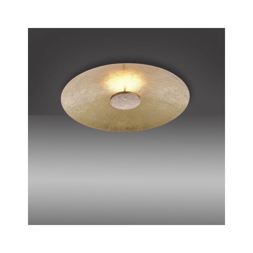 Paul Neuhaus 8132-12 - LED prigušiva plafonska svetiljka PLATE LED/25W/230V