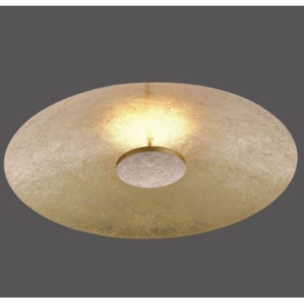 Paul Neuhaus 8132-12 - LED prigušiva plafonska svetiljka PLATE LED/25W/230V