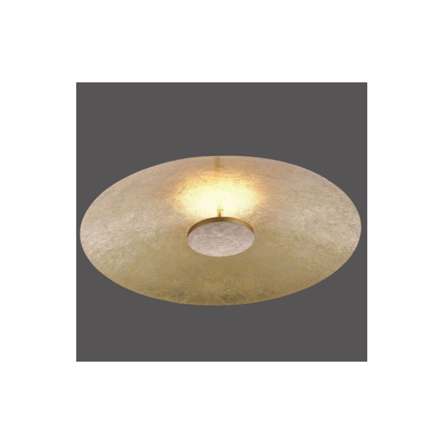 Paul Neuhaus 8132-12 - LED prigušiva plafonska svetiljka PLATE LED/25W/230V