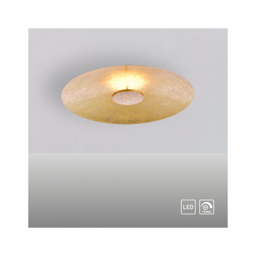 Paul Neuhaus 8132-12 - LED prigušiva plafonska svetiljka PLATE LED/25W/230V