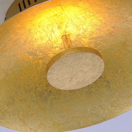 Paul Neuhaus 8132-12 - LED prigušiva plafonska svetiljka PLATE LED/25W/230V