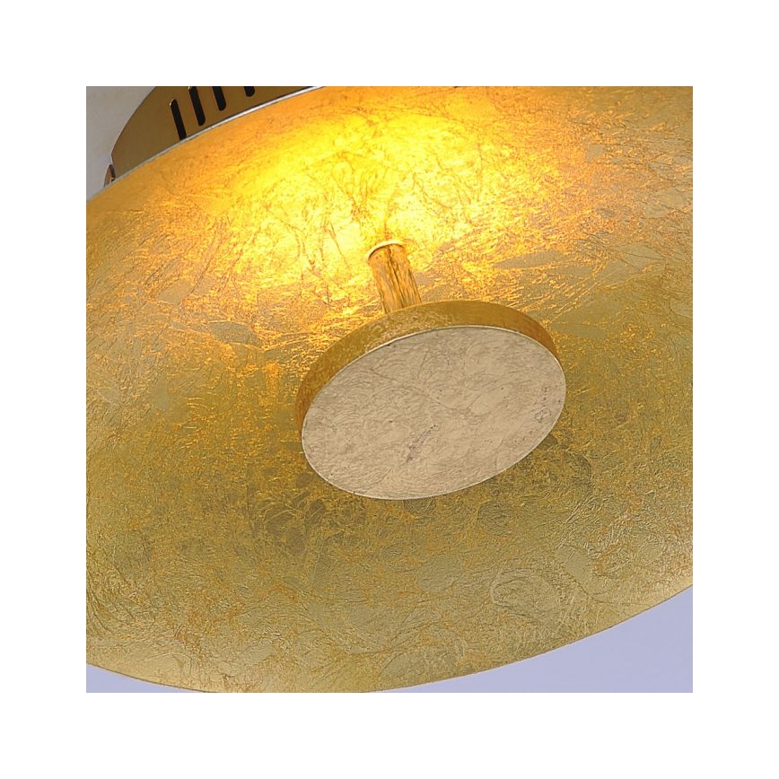 Paul Neuhaus 8132-12 - LED prigušiva plafonska svetiljka PLATE LED/25W/230V