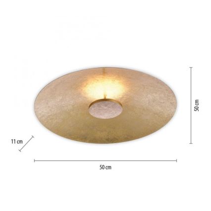 Paul Neuhaus 8132-12 - LED prigušiva plafonska svetiljka PLATE LED/25W/230V