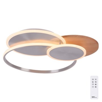 Paul Neuhaus 8328-79 - LED prigušiva plafonska svetiljka PALMA LED/50W/230V 2700-5000K borovina + daljinski upravljač