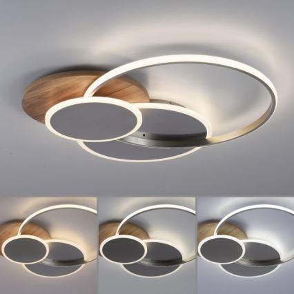 Paul Neuhaus 8328-79 - LED prigušiva plafonska svetiljka PALMA LED/50W/230V 2700-5000K borovina + daljinski upravljač