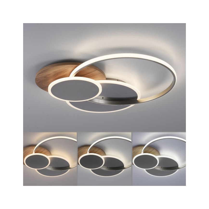 Paul Neuhaus 8328-79 - LED prigušiva plafonska svetiljka PALMA LED/50W/230V 2700-5000K borovina + daljinski upravljač