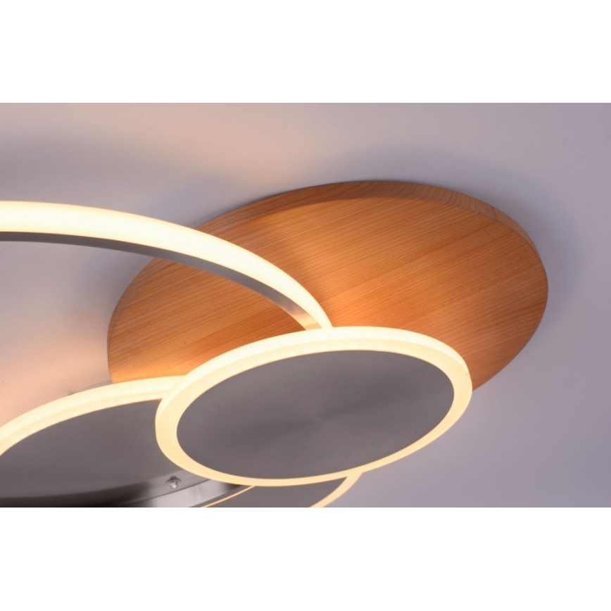 Paul Neuhaus 8328-79 - LED prigušiva plafonska svetiljka PALMA LED/50W/230V 2700-5000K borovina + daljinski upravljač