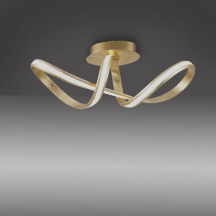 Paul Neuhaus 8331-12 - LED prigušiva plafonska lampa MELINDA LED/30W/230V