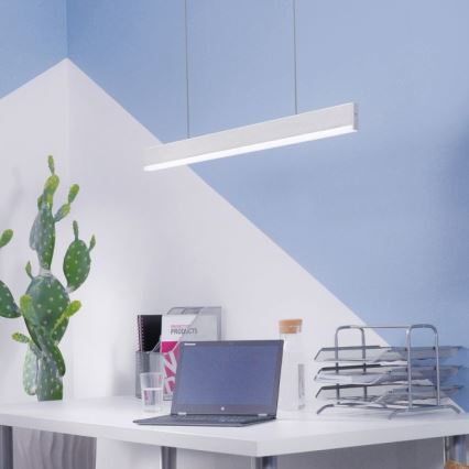 Paul Neuhaus 8363-55 - LED prigušiva luster na sajli sa senzorom ARINA LED/20W/230V