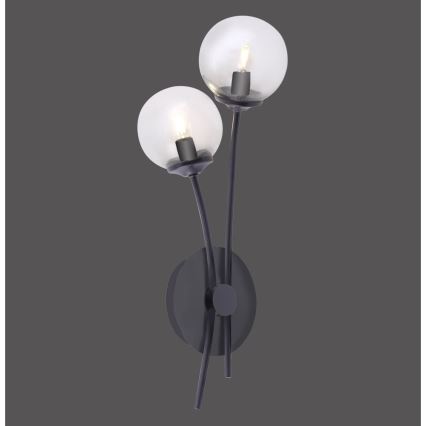 Paul Neuhaus 9014-18 - LED Zidna lampa WIDOW 2xG9/3W/230V