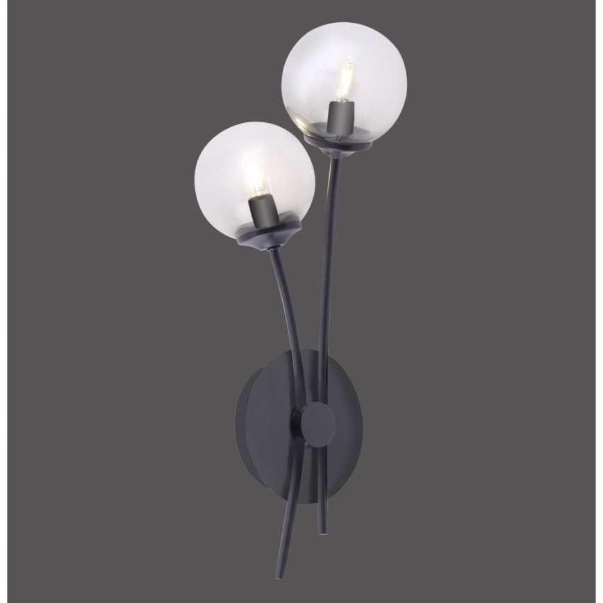 Paul Neuhaus 9014-18 - LED Zidna lampa WIDOW 2xG9/3W/230V