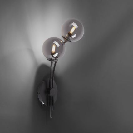 Paul Neuhaus 9014-18 - LED Zidna lampa WIDOW 2xG9/3W/230V