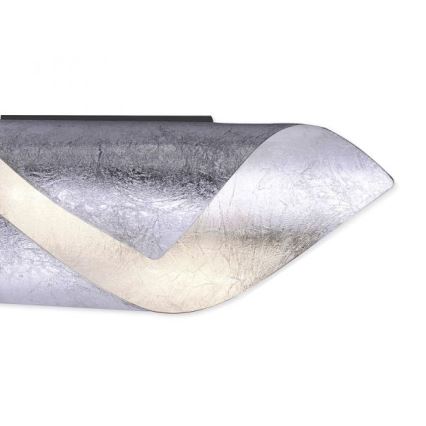 Paul Neuhaus 9030-21 - LED Zidna lampa NEVIS LED/6W/230V srebrno