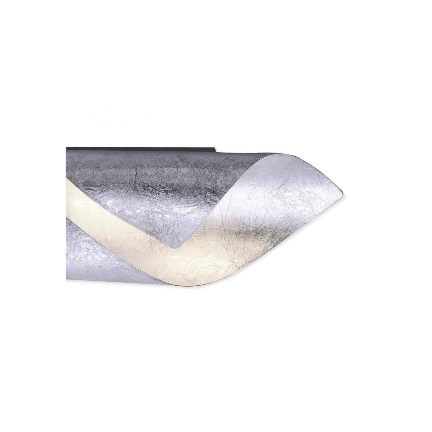 Paul Neuhaus 9030-21 - LED zidno svetlo NEVIS LED/6W/230V srebrno