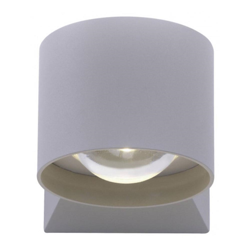 Paul Neuhaus 9441-21 - LED Spoljna zidna lampa TIMO 2xLED/2W/230V IP54