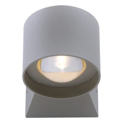 Paul Neuhaus 9441-21 - LED Spoljna zidna lampa TIMO 2xLED/2W/230V IP54