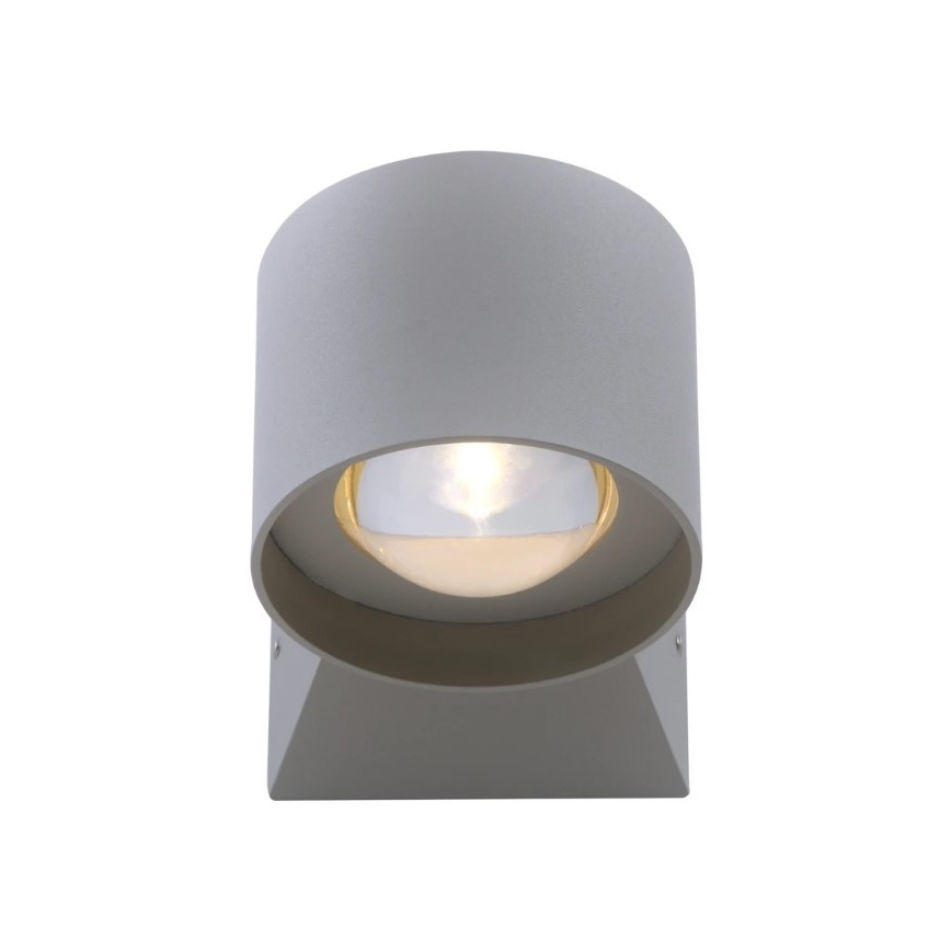 Paul Neuhaus 9441-21 - LED Spoljna zidna lampa TIMO 2xLED/2W/230V IP54