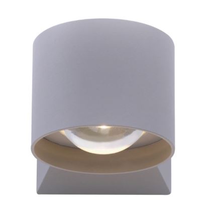 Paul Neuhaus 9441-21 - LED Spoljna zidna lampa TIMO 2xLED/2W/230V IP54