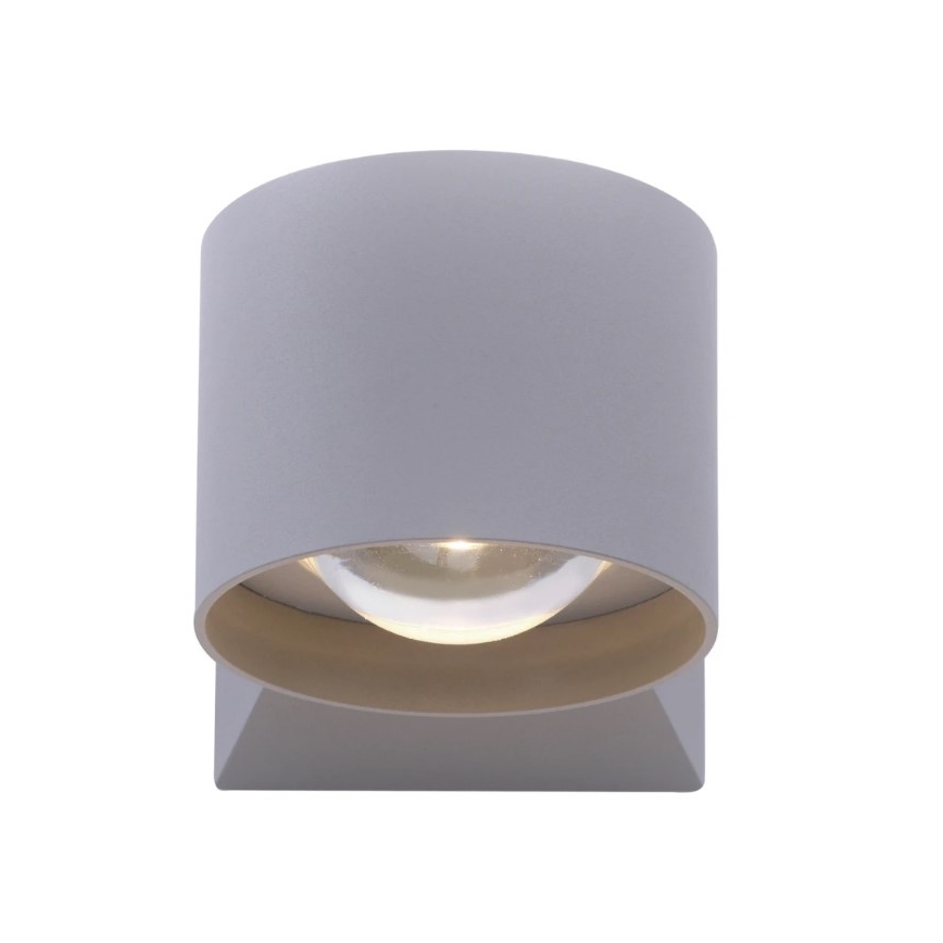 Paul Neuhaus 9441-21 - LED Spoljna zidna lampa TIMO 2xLED/2W/230V IP54