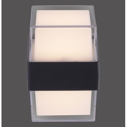 Paul Neuhaus 9480-13 - LED Spoljna zidna lampa CARA LED/8W/230V IP44