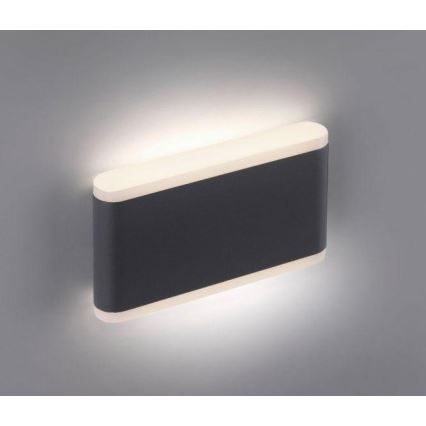 Paul Neuhaus 9483-13 - LED Spoljna zidna lampa ELSA 2xLED/5,4W/230V IP65