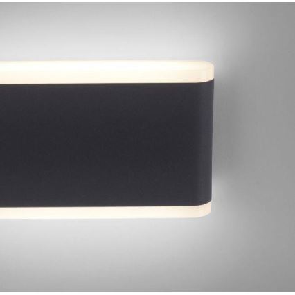 Paul Neuhaus 9483-13 - LED Spoljna zidna lampa ELSA 2xLED/5,4W/230V IP65