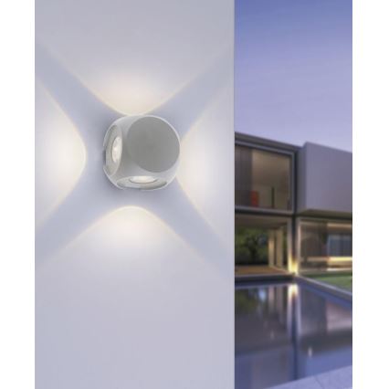 Paul Neuhaus 9485-21 - LED Spoljna zidna lampa CARLO 4xLED/0,8W/230V IP54