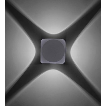 Paul Neuhaus 9485-21 - LED Spoljna zidna lampa CARLO 4xLED/0,8W/230V IP54
