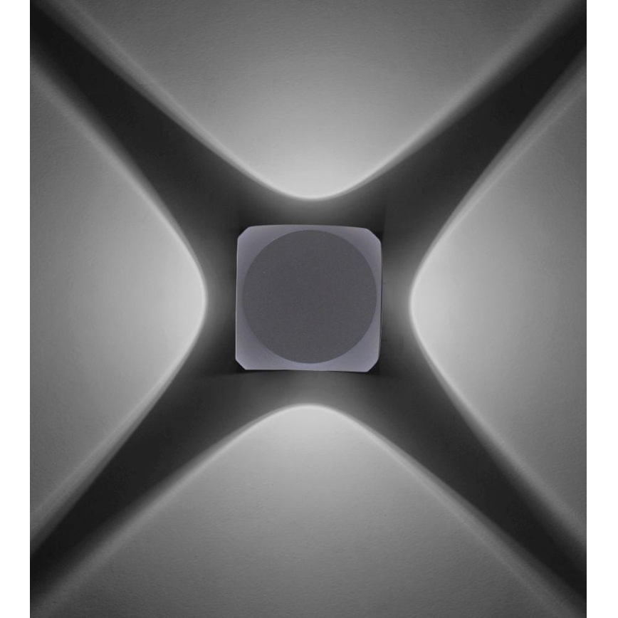 Paul Neuhaus 9485-21 - LED Spoljna zidna lampa CARLO 4xLED/0,8W/230V IP54