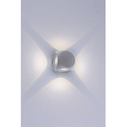 Paul Neuhaus 9485-21 - LED Spoljna zidna lampa CARLO 4xLED/0,8W/230V IP54