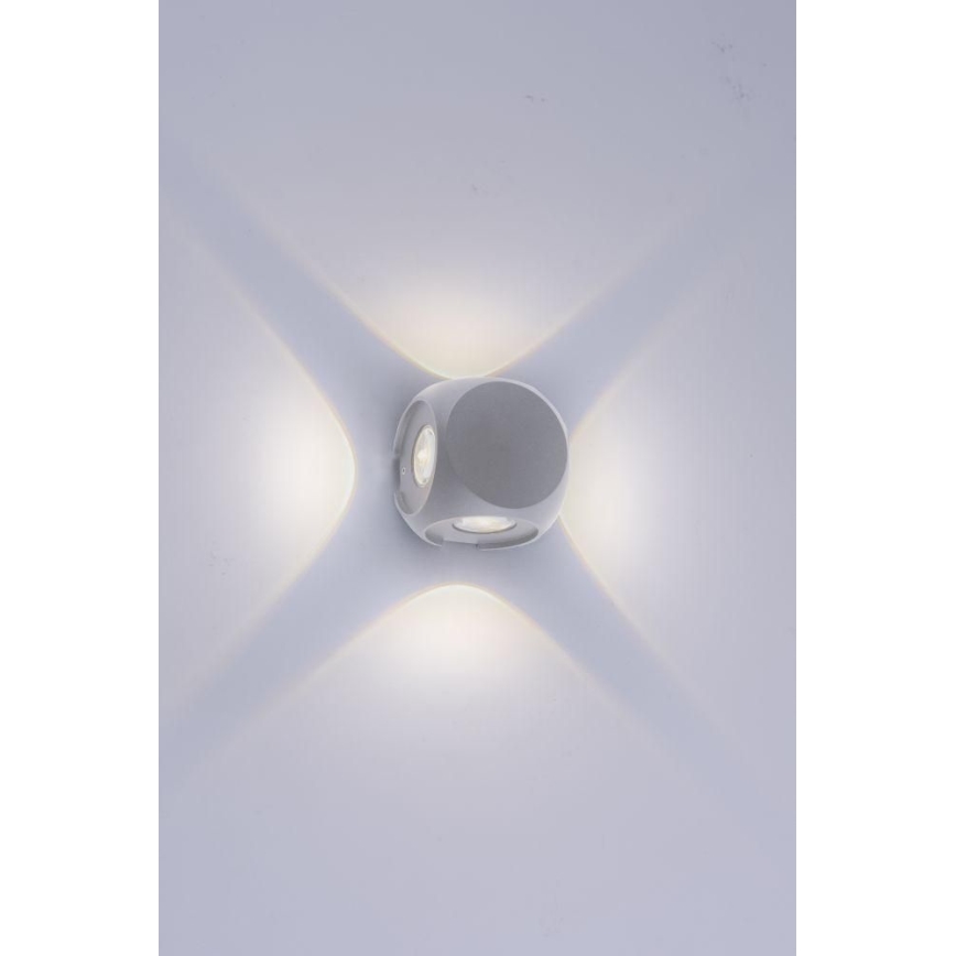 Paul Neuhaus 9485-21 - LED Spoljna zidna lampa CARLO 4xLED/0,8W/230V IP54