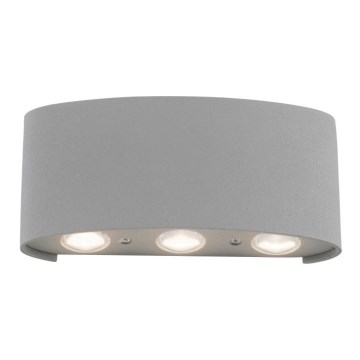 Paul Neuhaus 9488-21 - LED spoljno zidno svetlo CARLO 6xLED/0,8W/230V IP54