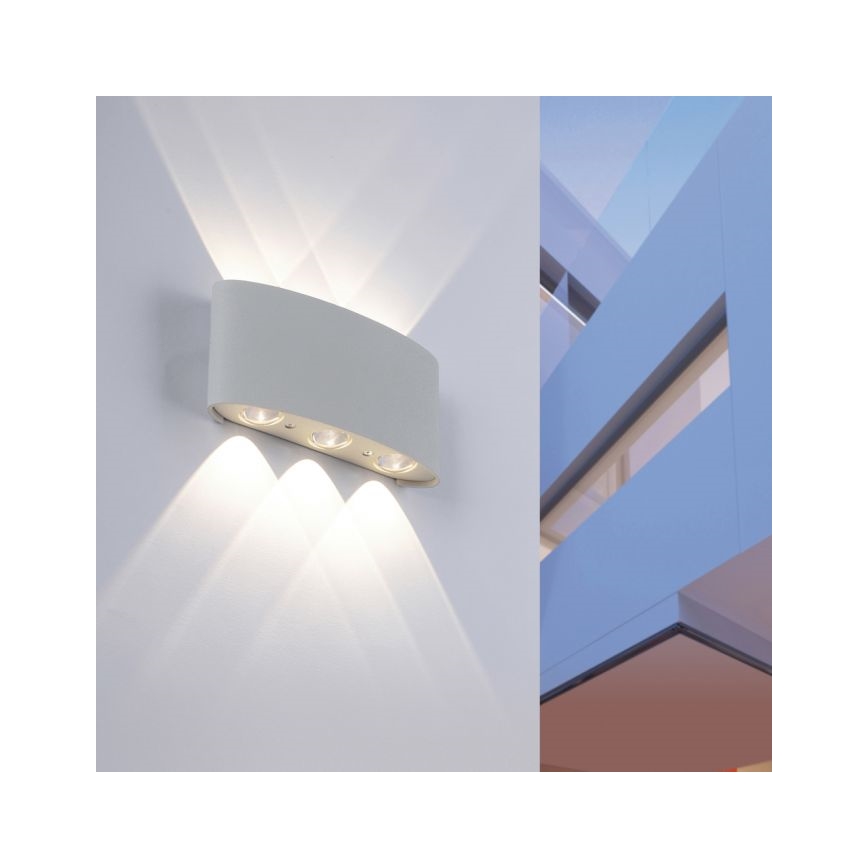 Paul Neuhaus 9488-21 - LED spoljno zidno svetlo CARLO 6xLED/0,8W/230V IP54