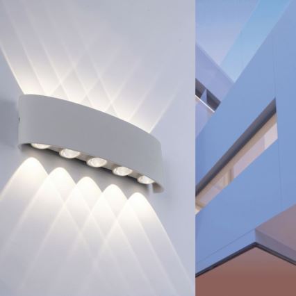Paul Neuhaus 9489-21 - LED Spoljna zidna lampa CARLO 10xLED/0,8W/230V IP54