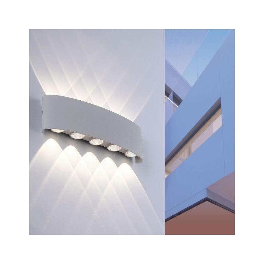 Paul Neuhaus 9489-21 - LED Spoljna zidna lampa CARLO 10xLED/0,8W/230V IP54
