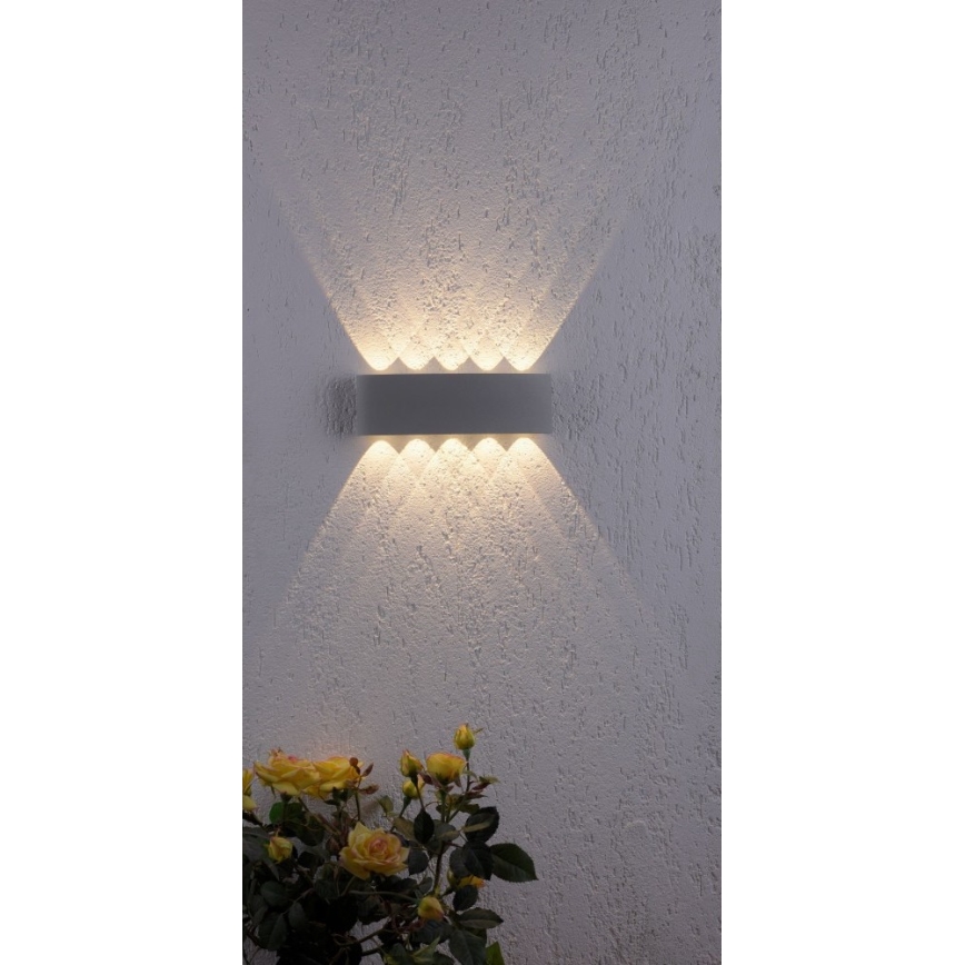 Paul Neuhaus 9489-21 - LED Spoljna zidna lampa CARLO 10xLED/0,8W/230V IP54