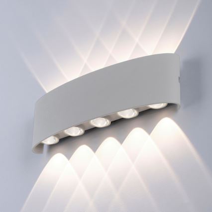 Paul Neuhaus 9489-21 - LED Spoljna zidna lampa CARLO 10xLED/0,8W/230V IP54