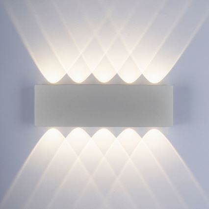 Paul Neuhaus 9489-21 - LED Spoljna zidna lampa CARLO 10xLED/0,8W/230V IP54