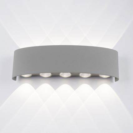 Paul Neuhaus 9489-21 - LED Spoljna zidna lampa CARLO 10xLED/0,8W/230V IP54