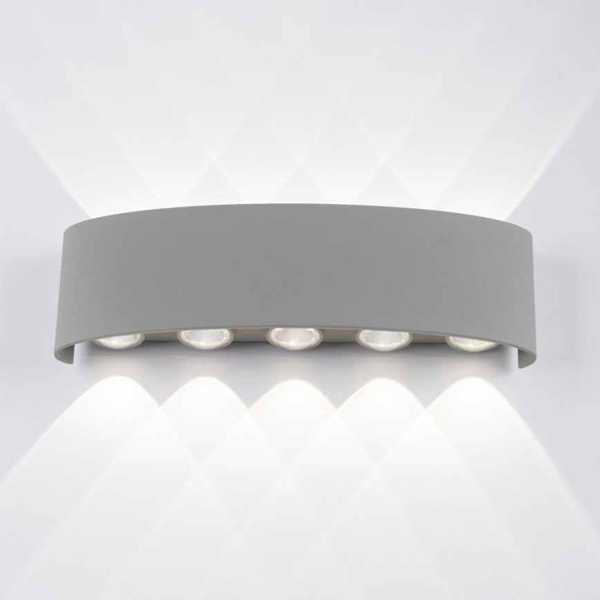 Paul Neuhaus 9489-21 - LED Spoljna zidna lampa CARLO 10xLED/0,8W/230V IP54
