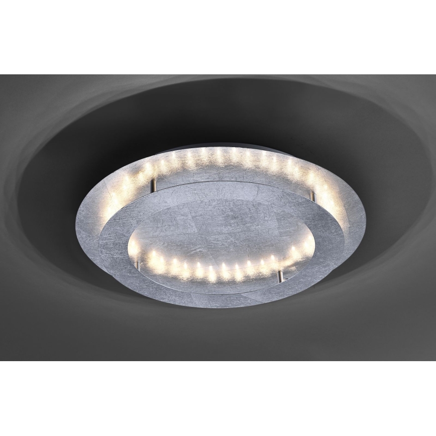 Paul Neuhaus 9621-21 - LED Plafonjera NEVIS LED/24W/230V