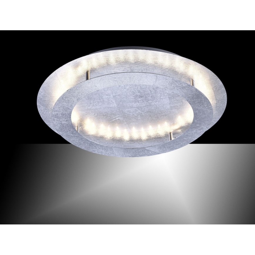 Paul Neuhaus 9621-21 - LED Plafonjera NEVIS LED/24W/230V