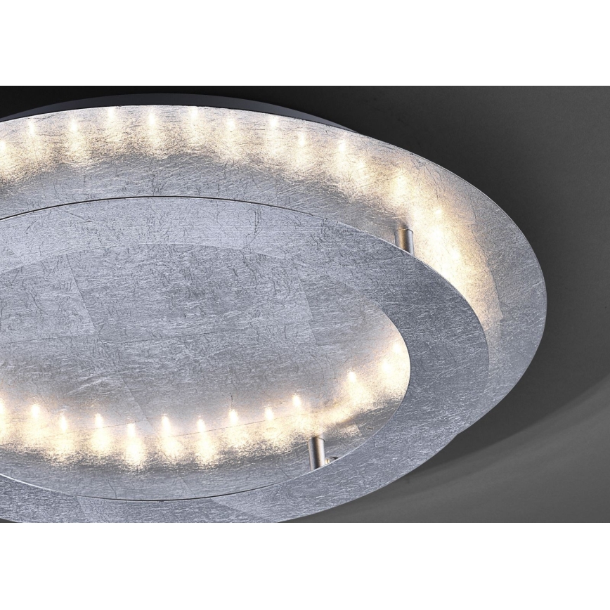 Paul Neuhaus 9621-21 - LED Plafonjera NEVIS LED/24W/230V