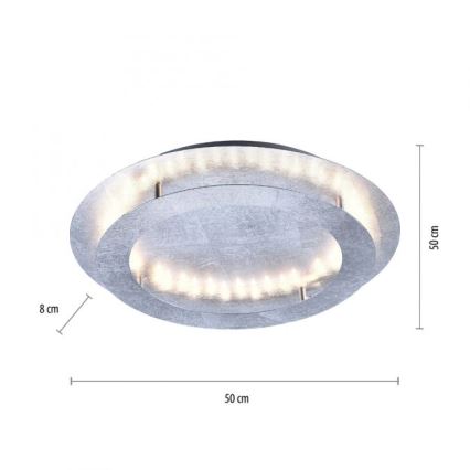 Paul Neuhaus 9621-21 - LED Plafonjera NEVIS LED/24W/230V