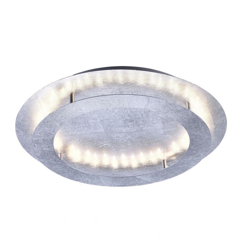 Paul Neuhaus 9621-21 - LED plafonska svetiljka NEVIS LED/24W/230V