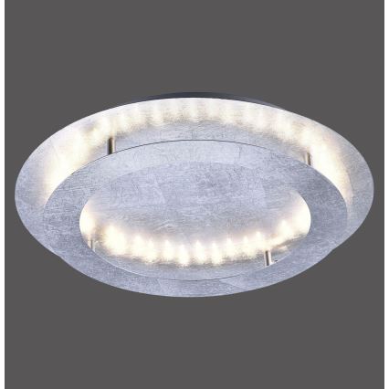 Paul Neuhaus 9621-21 - LED plafonsko svetlo NEVIS LED/24W/230V