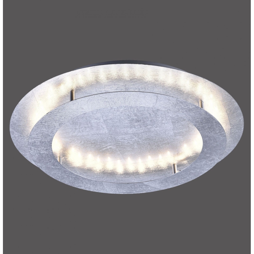 Paul Neuhaus 9621-21 - LED plafonsko svetlo NEVIS LED/24W/230V