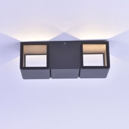 Paul Neuhaus 9658-13 - LED spoljašnje zidno svetlo MARCEL 2xLED/4W/230V IP54